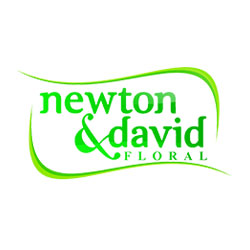 Newton david